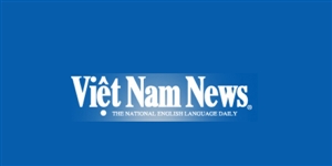Báo giá Báo Việt Nam News